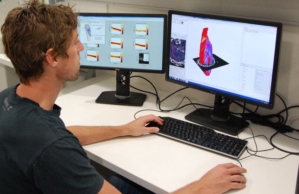 Researcher Bart Bolsterlee working on three-dimensional reconstructions of muscles from diffusion tensor images in one of NeuRA’s labs.